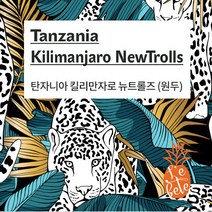 [UMB][레베떼커피] 탄자니아 킬리만자로 뉴트롤즈 원두커피 / 홀빈 / 500g