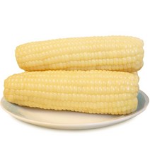 <천룡무역>가장 맛있는 [프리미엄] 냉동 백찰옥수수 백찰 중 14-16cm 20개 30개 70개, 30개(6.8kg이상)” class=”wr-img”></a></div>
</p></div>
</p></div>
</p></div>
<div class=