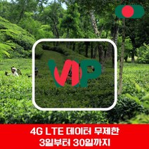 VIP 방글라데시 4G LTE 포켓 와이파이 데이터 무제한 국내공항 수령, 4G LTE 데이터 무제한 1일/인천