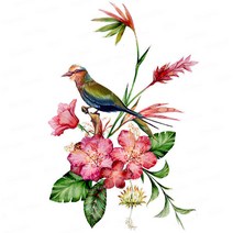 아이방 집꾸미기 포인트 손으로 그린 앵무새 벽 스티커 QCF46 3 Ratels 홈 장식 소품 화장실, [04] 40cm(15.75 inch), [23] QCF146-58