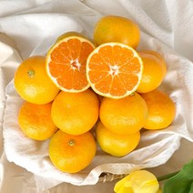 [제주열매] 서귀포 산지직송 고당도 하우스 감귤, 1box, 하우스 로얄중과(M~L)-10kg (귤중량 9kg)