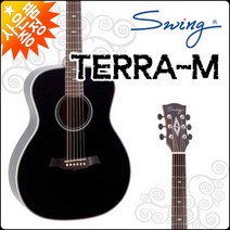 스윙기타 스윙 TERRA-M, 스윙 TERRA-M/BK