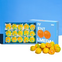 [추석선물] 제주 산지직송 감귤 황금향 선물세트 반반세트, 4kg, 제주 황금향 (선물세트)