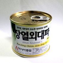 [모종심는아빠] 내서성 내한성이 우수한 만추대성 외대파 장열외대파 씨앗 80g, 1개