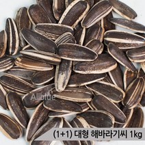 [올블루] (1+1) 대형 해바라기씨 1kg 중대형 앵무새, 상세 설명 참조