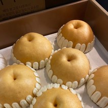 22년 수확 햇 나주배 선물세트 GAP인증 고당도 신고배, 선물용 7.5kg(7~10과)
