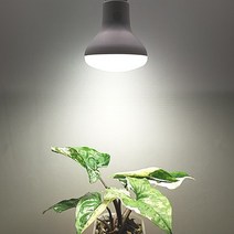 삼성 식물 LED 식물등 식물조명 생장 성능개선 신제품