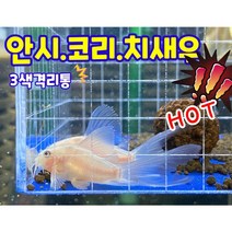안시 산란통 코리 치어통 구피 브라인 격리통 코리 치어 열대어 브라인급여 부화통 체리새우, 걸이형, 흰색