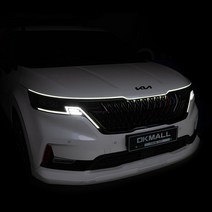 웰컴라이트 플렉시블 LED바 방수 무빙 웰컴등, 240cm, 1개