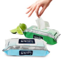 힐링데이물티슈 엠보싱 캡형 60매 X 5팩 대형물티슈 환자용 청소용 빅사이즈물티슈, 60매X5팩