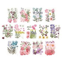 [문구티쳐] 토단 압화꽃 시리즈 - 소 1인세트 13종 택1 DIY 만들기재료, 압화꽃(소)_GH-4