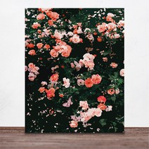 위메이크 페인팅 DIY 명화그리기 세트 장미 40x50, 혼합색상