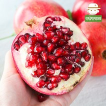 새콤한 매력의 고급 붉은빛 석류 2kg/4.4kg, 석류 4.4kg