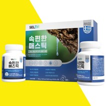 키오스 매스틱검 고함량 매스틱정 메스틱정 그리스산 메스틱 메스틱검 마스틱 그리스 추출물
