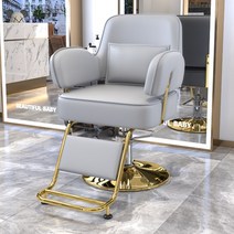 미용실의자 메이크업의자 업소용의자 미용전동의자 클래식 그물 빨간 미용 특별 오전 3시 같은 단락 Laifu 머리 절단, 하이 엔드 라이트 그레이 골드 디스크 빅 페달 하, 공식 표준