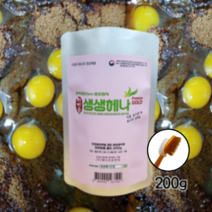 [순천당생활건강] 정경순 생생헤나 천연헤나염색약 200g 네추럴오렌지, 생생헤나 200g 1개, 1개
