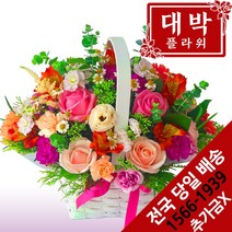 [엔젤스플라워] 축하 꽃바구니 공기정화 관엽식물 꽃배달서비스, C15_특가고급형_솔리드핑크하트 꽃바구니
