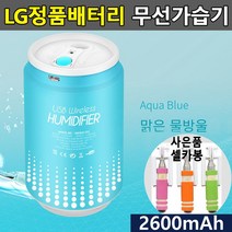 국산 LG 배터리 채택 휴대용 무선 가습기 차량용 안전한 탁상 [유진스타일] #989EA, 본상품선택, 본상품선택