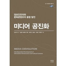 미디어 공진화:정보인프라와 문화콘텐츠의 융합 발전, 한울아카데미, 송경재황근송민정조영신이남표배진아
