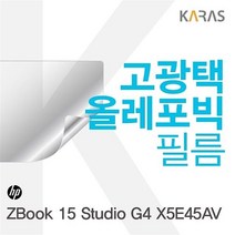 카라스인터내셔널 전용 선명한 고광택 필름 0W09EF16, 1개