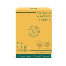 영롱 판토쉴드 비타민B 장용성 캡슐 판토텐산 비타민비 B2 B6 B12 나이아신, 단품, 단품