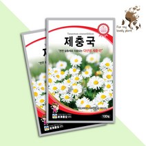 제충국 100립 세계종묘 화훼류 씨앗