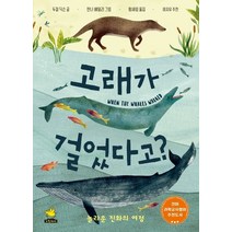 고래가 걸었다고?:놀라운 진화의 여정, 노란돼지