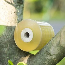 1롤 너비 20mm-100mm 과일 나무 접목 멤브레인 필름 신축성 있는 정원 식물 보호 보육 테이프 자체 접착, [06] Width 80mm, Yello Film