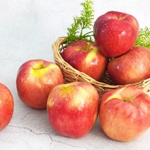 홍로사과 빨간사과 가정용 3kg (상품선택) 시나노골드 부사 아오리, 실속형 홍로사과 3kg (12-13과), 1개