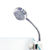 [알에이디 주식회사] 칸후 LED 미니조명 CH-L8 [바보사랑], 1개