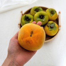 산지직송 달콤아삭한 창원 태추단감 3주간만 판매(추석전 9월22일주문마감), 1개, 태추단감 4kg 중대과(1개)