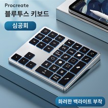 Procreate 프로크리에이트 블루투스 키패드 화이트 블랙 무선 키보드 백라이트, 딥 스페이스 그레이 [백라이트 O], FUNKING FBK28, 무선 블루투스
