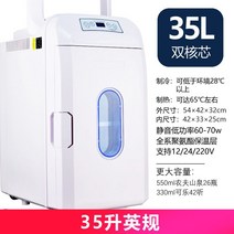 냉장고 화장품 차량용 효과적인 사이즈별 컬러풀한 쿨러 기숙사용품 캠핑 아이스박스 자동차 빌트인 전기 스마트카 캠핑카용 국산 2도어 24v 미니 서랍, 10L영국표준브라운12v, BD