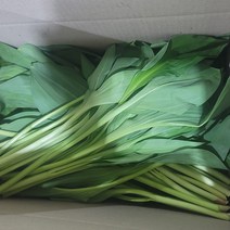 강원도 홍천 생 줄기 대 명이나물 1kg 2kg 울릉도종 산마늘 명의나물, 대명이1kg