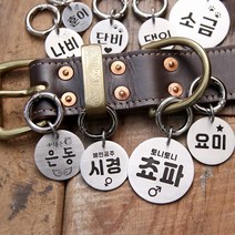 (고리형) 써지컬 펜던트에 귀여운 아이콘과 꾸밈말 등을 깊게 각인하는 강아지 인식표 강아지 이름표, 5cm, B