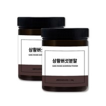 장수 상황버섯 분말 가루 참나무 상황버섯차 100 목질진흙버섯 2통