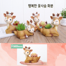 공기정화식물 화분 반려식물 춘봉철화 다육식물 152599