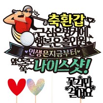 비비드레인 골프 생신 환갑 칠순 케이크토퍼, 176-골프(환갑-여자)+픽3개