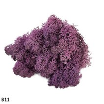 중고 인조잔디 봄뜰 다이소 코스트코 이케아 주차장 보호매트 블록 매트 테라스 마당 베란다 꽃잔디 가짜2040 인공 식물 영원한 생명 이끼 수지 꽃 소재 마이크로 풍경 액세서리 웨딩, 40g, 나11