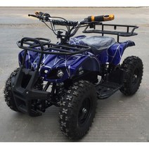 네발오토바이 전기 ATV 4륜 버기카 스쿠터 바이크, 4륜바이크