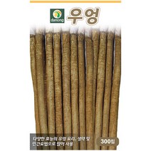 미쯔바 참나물 10g - 씨 씨앗 참나물씨앗 참나물씨 나물씨 나물씨앗 민속채소 채소씨 채소씨앗 민속씨앗 삼엽채, 09_다농_우엉(300립)