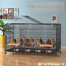 닭장 케이지 가정용 대형 초대형 계란 산란 닭장, 계란 트레이가 포함된 패키지 1 강화된 바닥 (120x