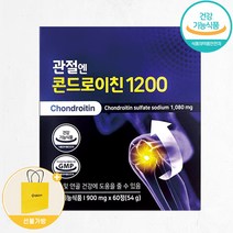 관절엔 콘드로이친 1200 + 생활집사 쇼핑백, 1개, 60정