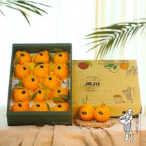 지장샘농장 제주 한라봉 가정용 선물세트 2kg 3kg 5kg 10kg, 가정용 한라봉 5kg (20과내외)