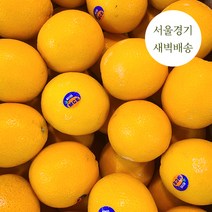 새벽배송 당일배송 프리미엄 네이블 오렌지 수입과일 1kg 3kg 새벽경매 가락시장, 친환경 네이블 오렌지 3kg, 1개