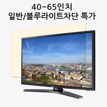 썬가드 대형 TV 일반 보안기 벨트형 40인치 이상, 55인치 일반보안기, 1개