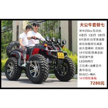 ATV 4륜 사륜 산악 해변 비치 바이크 오프로드 오토바이 성인 가솔린 구동 자동 기어 변속기, K, 단일사이즈