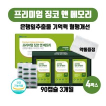 프리미엄 징코 앤 메모리 두뇌 인지력 진코 영양제 기억력 혈행건강 도움 60대 70대 집중력 은행잎추출물 건강기능식품, 500mg X 90캡슐 4개