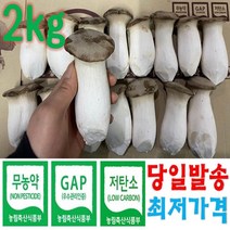 도담농산 새송이버섯 2kg 당일수확 당일발송, 새송이2kg(상)