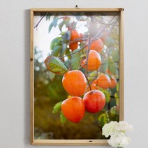 da379-우드프레임액자_재물을풍성하게감나무, 2.금전운높여주는감나무